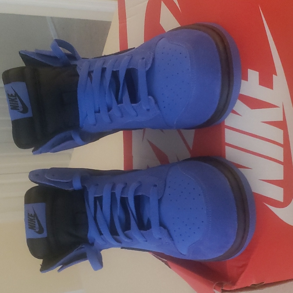 Nike Dunk HI